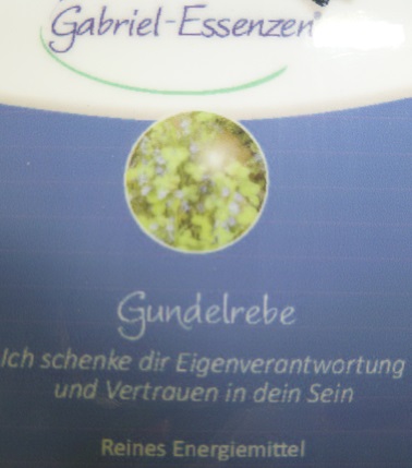 Gabrielessenz Gundelrebe