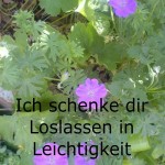 storchenschnabel09mitspruch